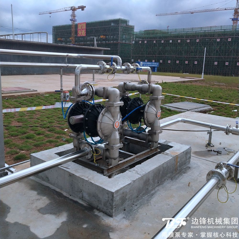 1725584816-6317.jpg 1725584816-6317.jpg