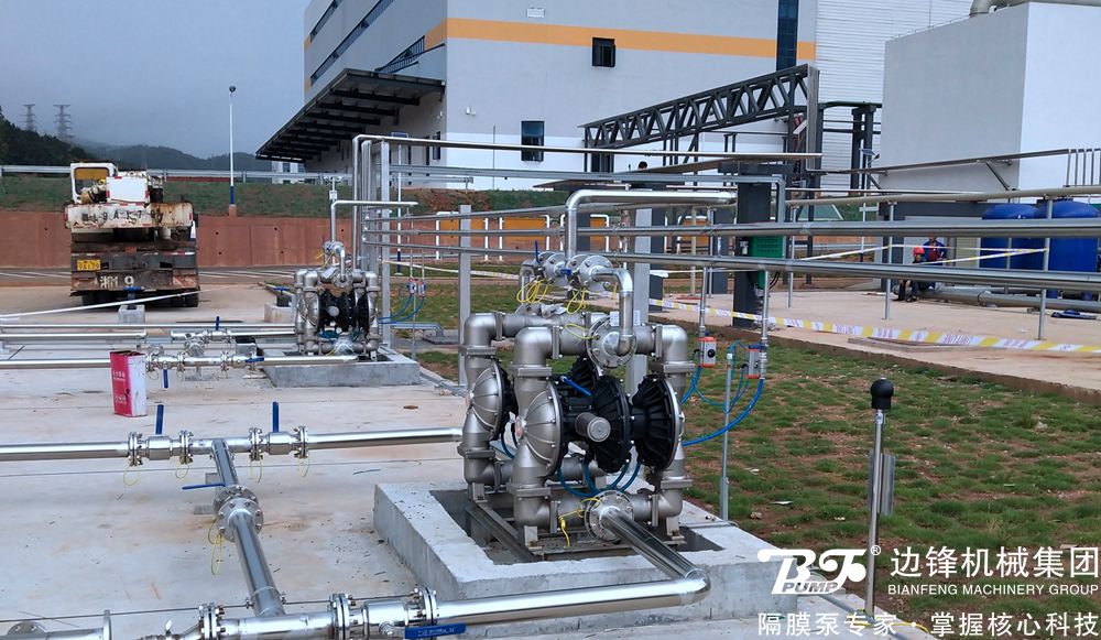 1725584816-8422.jpg 1725584816-8422.jpg